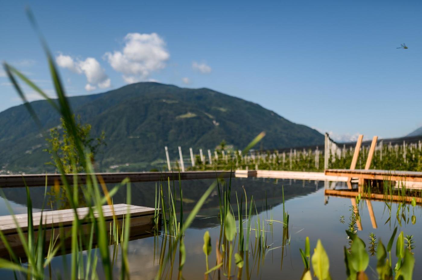 Pataunerhof Tirol Екстер'єр фото