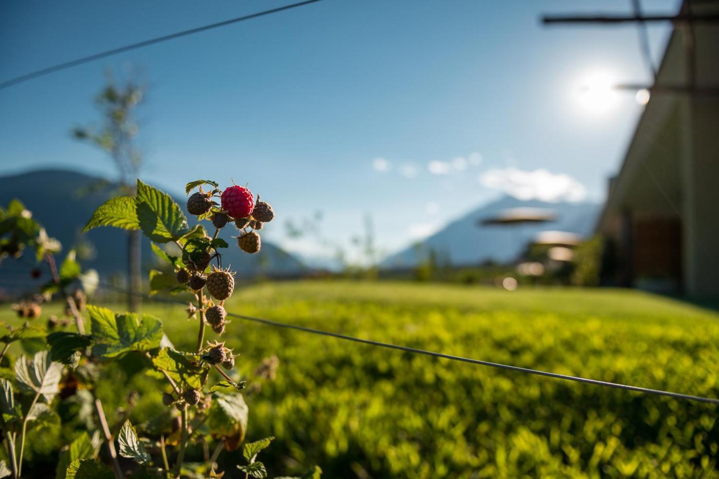 Pataunerhof Tirol Екстер'єр фото